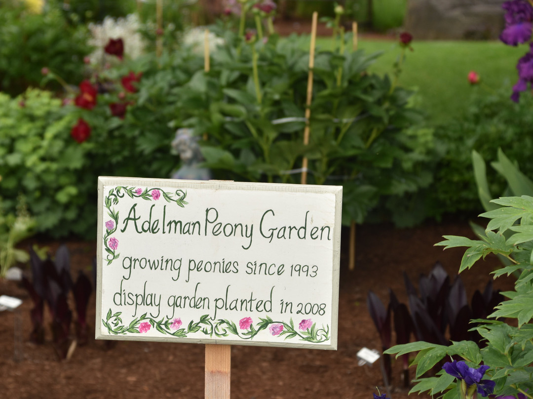 Adelman Peony Gardens-塞勒姆必去景点