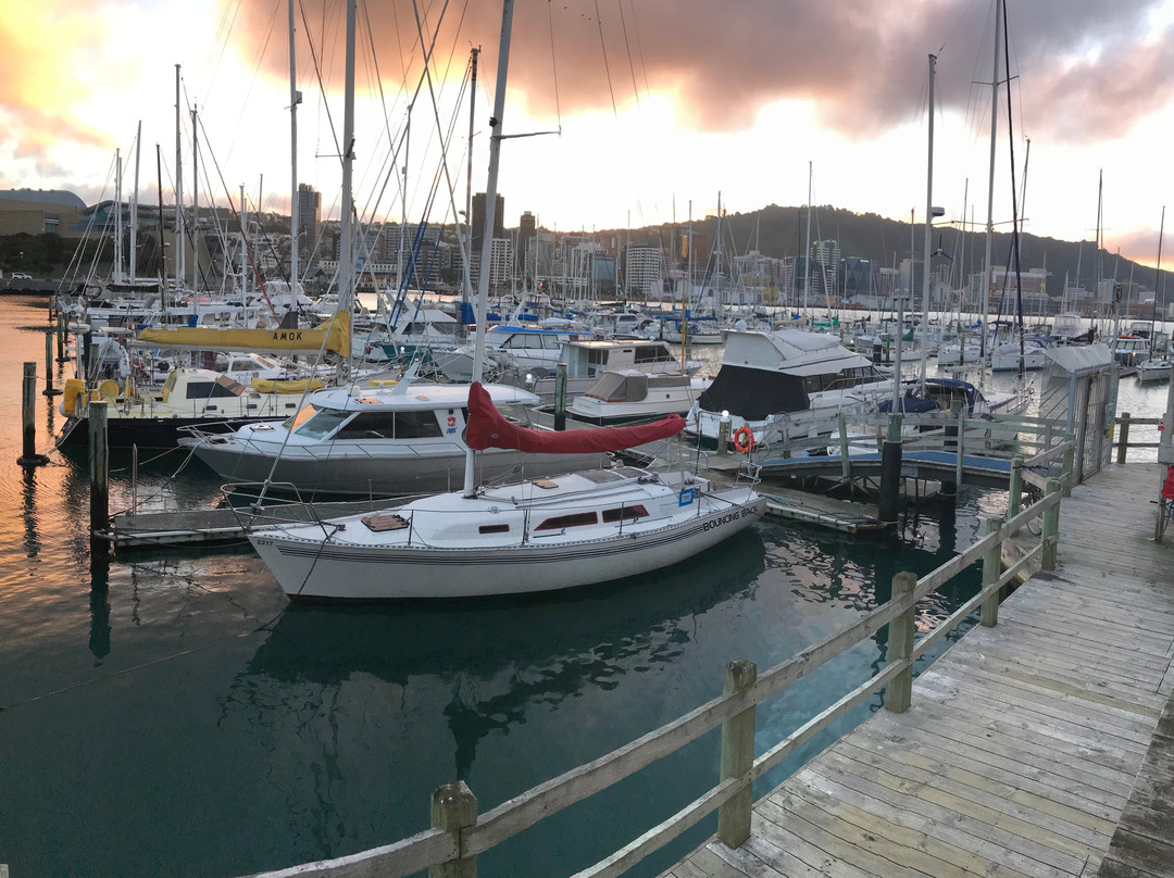 Waitangi Park-惠灵顿必去景点