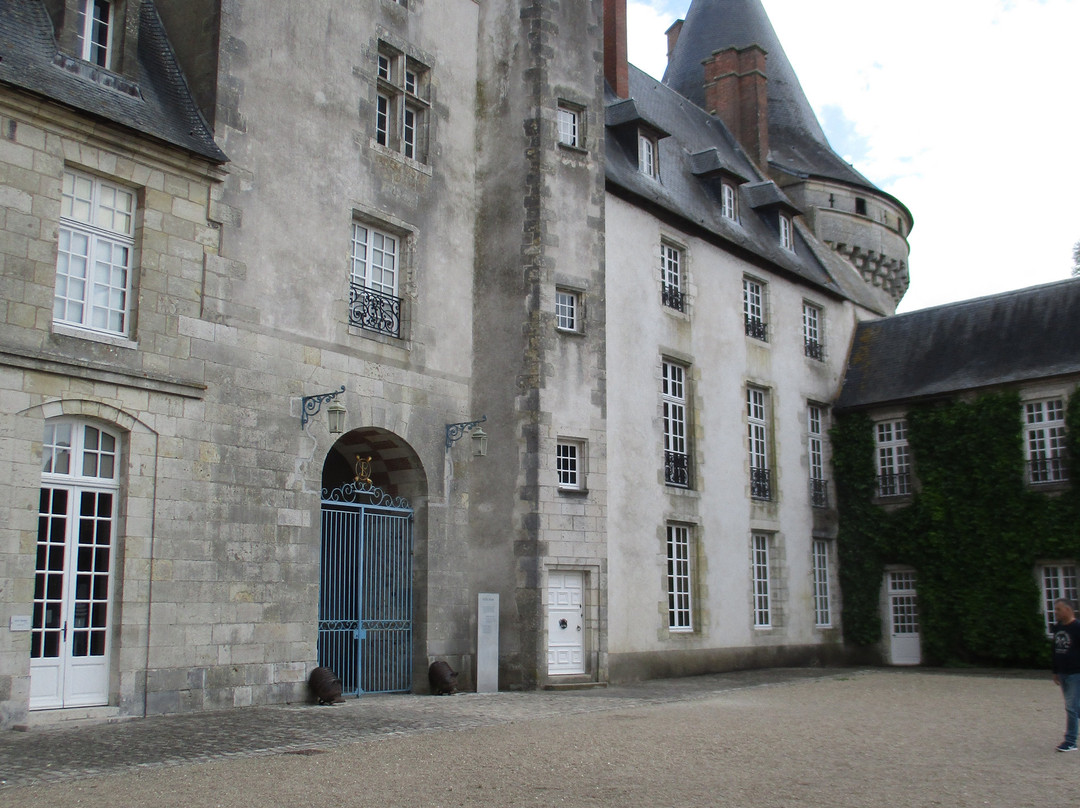 Château de Sully-sur-Loire-Sully-sur-Loire必去景点