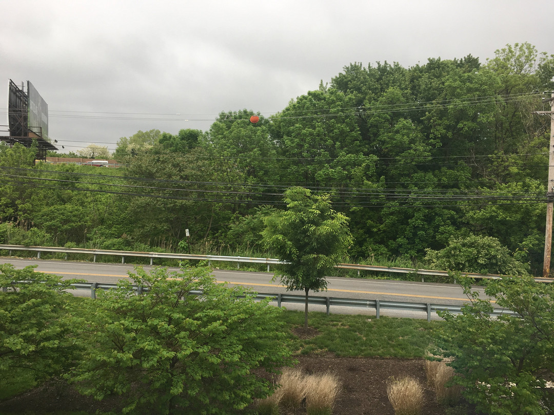 Microtel Inn & Suites by Wyndham Philadelphia Airport Ridley主图