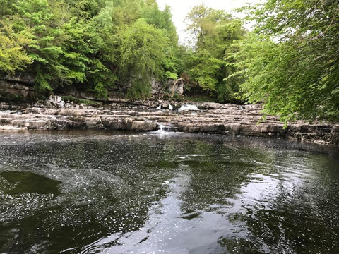 Redmire旅游景点-Redmire Force