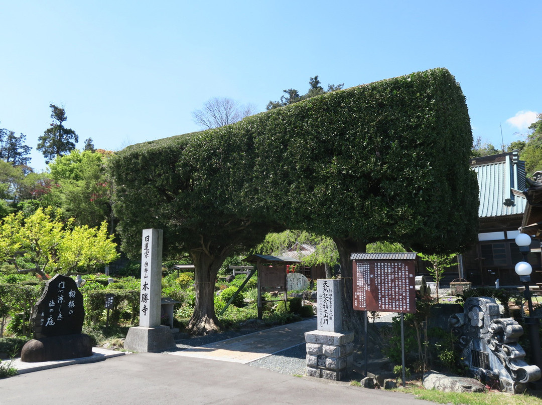 Honsho-ji Temple景点图片