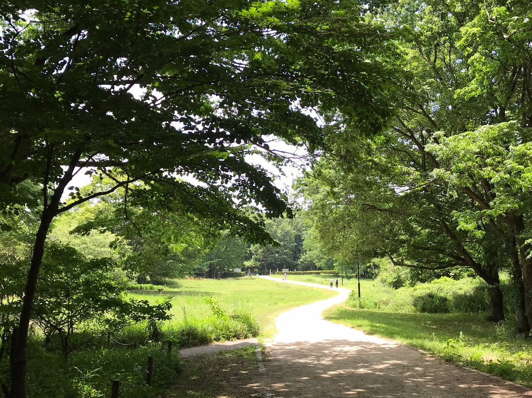 Ushiku Nature Sanctuary景点图片