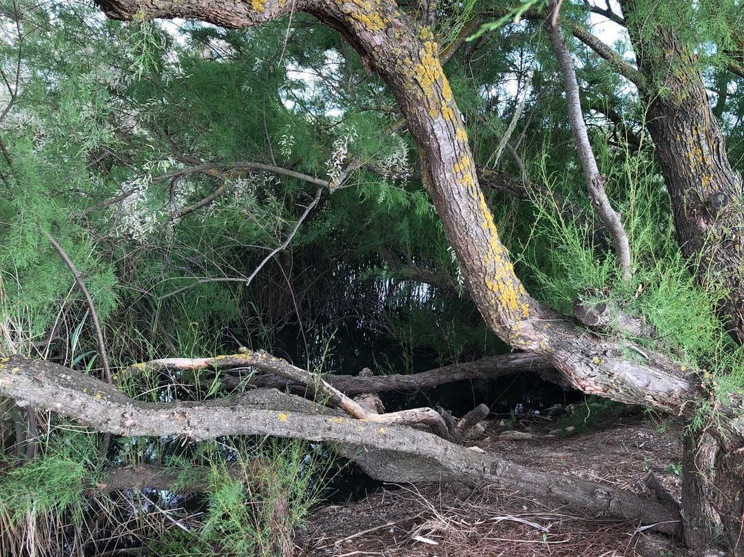 Caminos del Guadiana-Daimiel必去景点