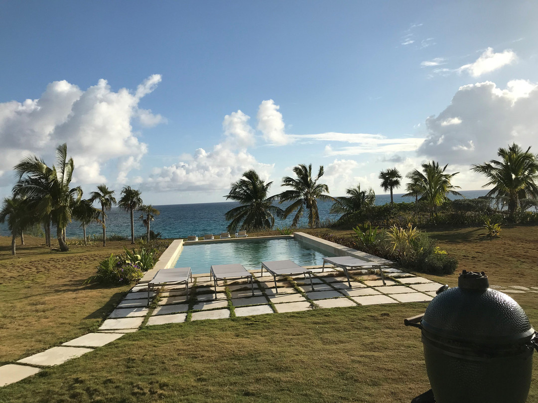 La Bougainvillea主图