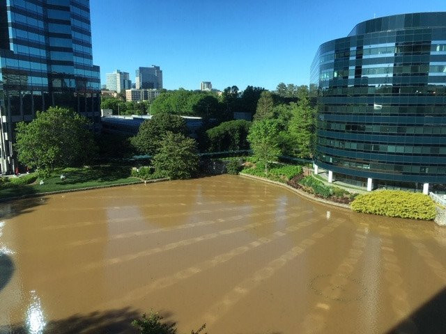 The Westin Atlanta Perimeter North主图