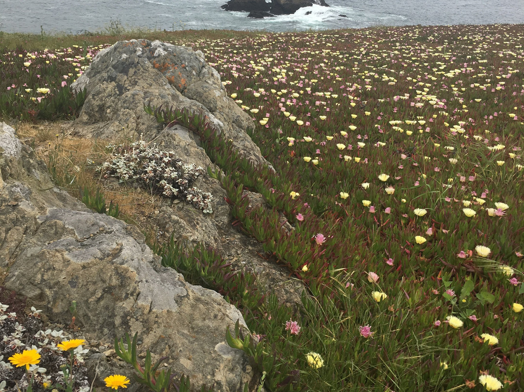 Wright's Beach主图