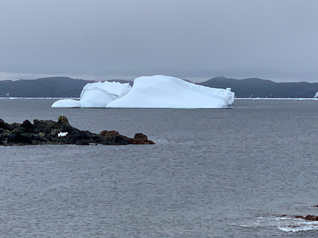 Twillingate Century House Bed and Breakfast主图
