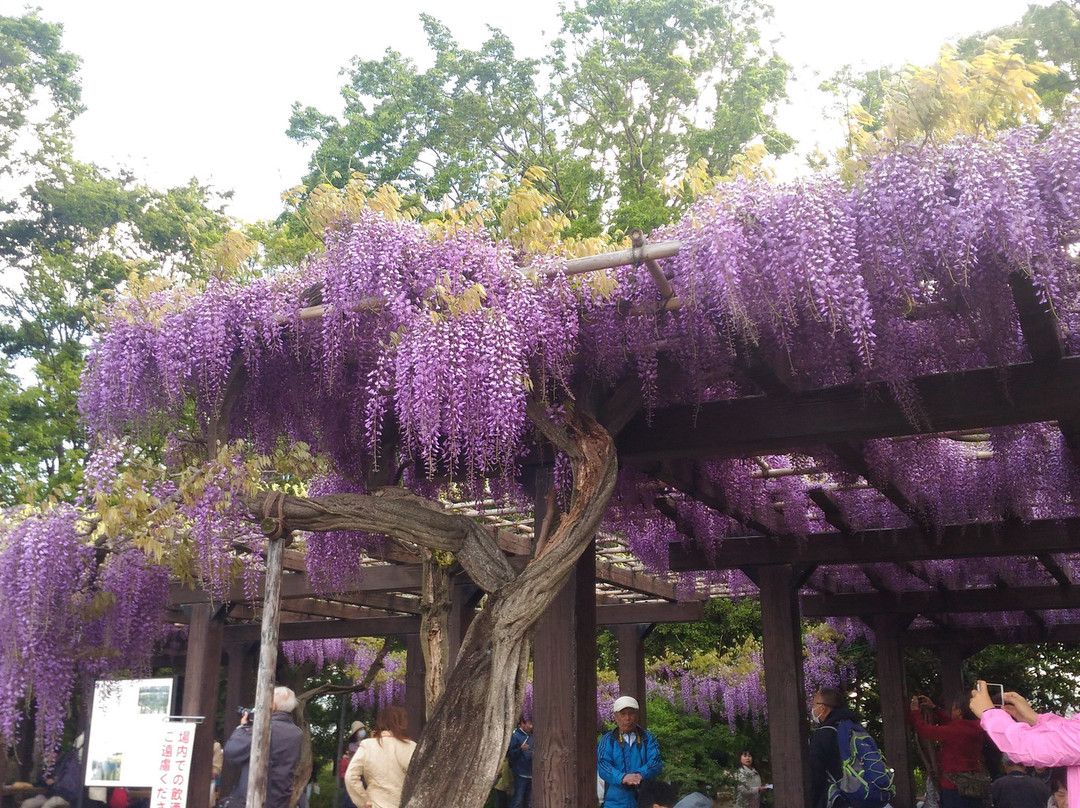 Toba Water Environmental Conservation Center-京都市必去景点