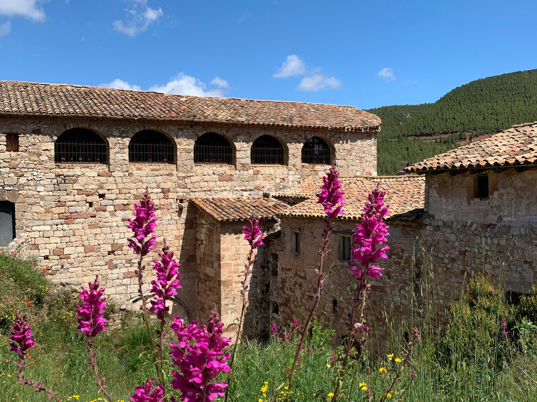 Castell de Mediona景点图片