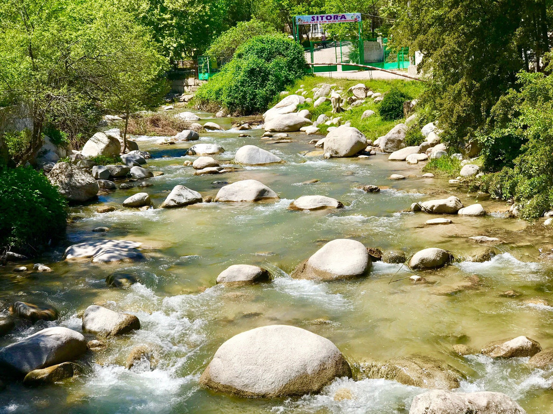 Al Samarkand Travel-撒马尔罕必去景点