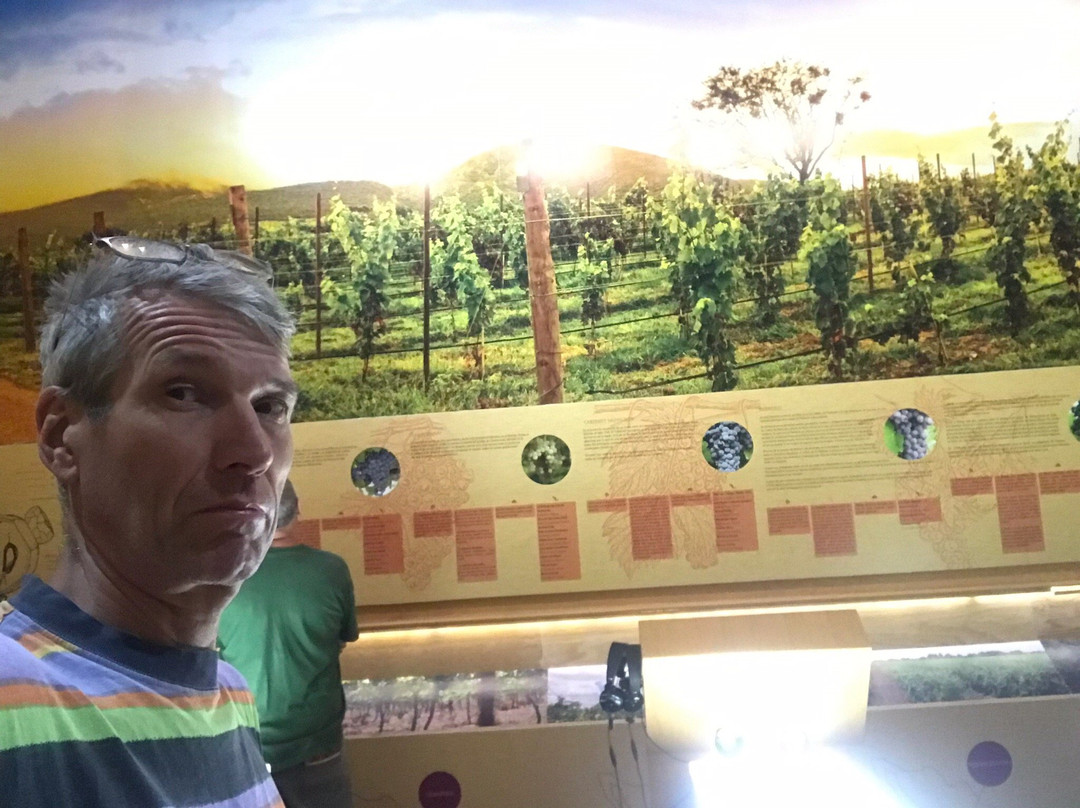 Museo del Vino de Guanajuato-Dolores Hidalgo必去景点