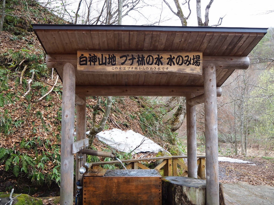 Shirakami Sanchi Visitor Center景点图片