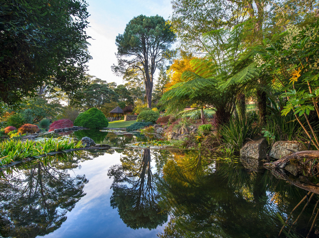 Windyridge Garden景点图片