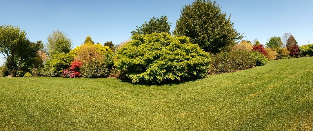 Jardin du Mesnil景点图片