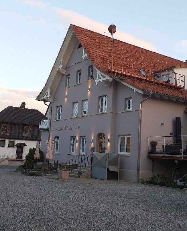 Landhotel Adler主图