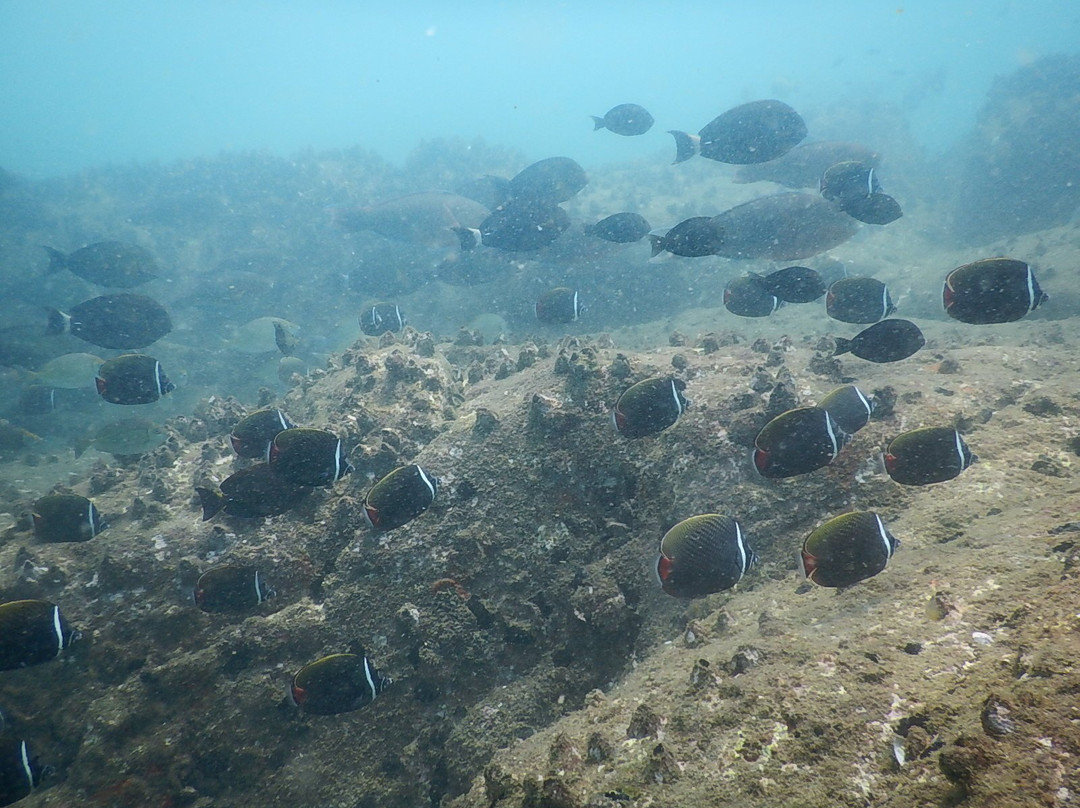West Coast Adventures Kapu-乌杜皮必去景点