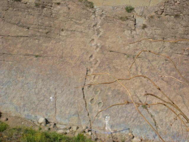 Termas del Flaco-San Fernando必去景点