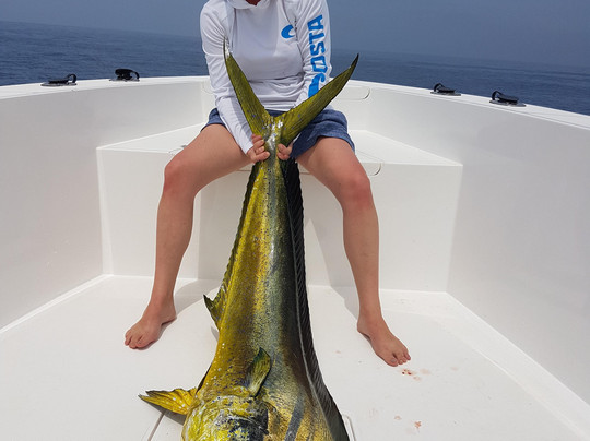 Arabian Fly Sport Fishing-塞拉莱必去景点