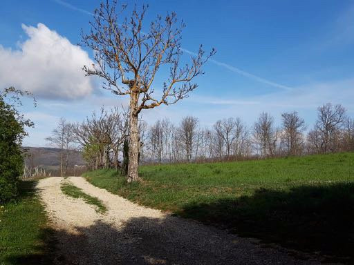 Podere Emilia