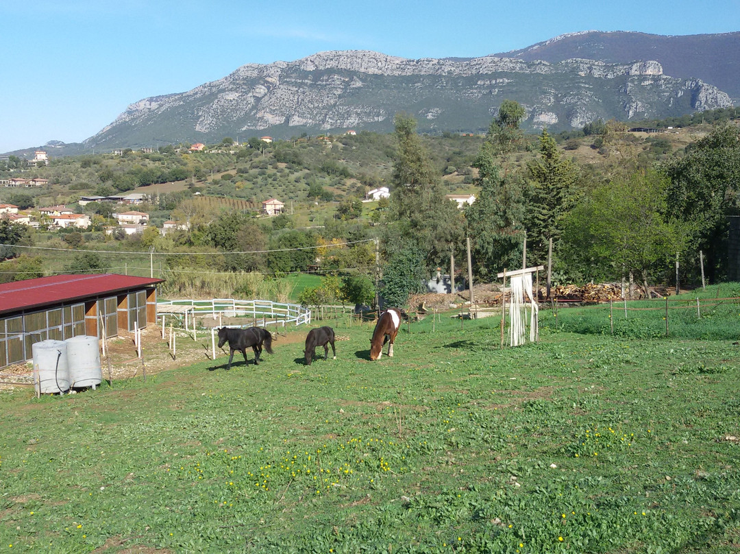 Azienda Agricola Maglio景点图片