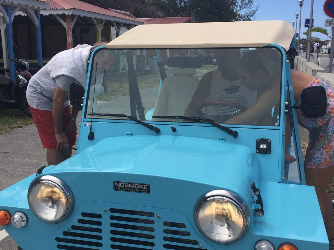 Iguana Locations-Terre-de-Bas必去景点