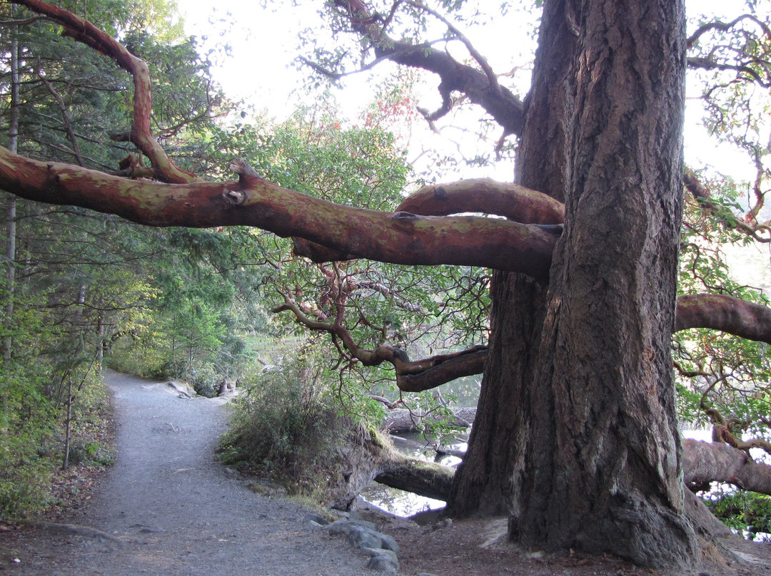 Witty's Lagoon Regional Park景点图片