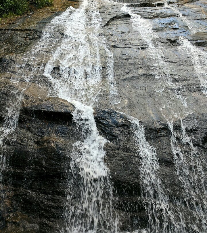 Cascata Do Galo景点图片