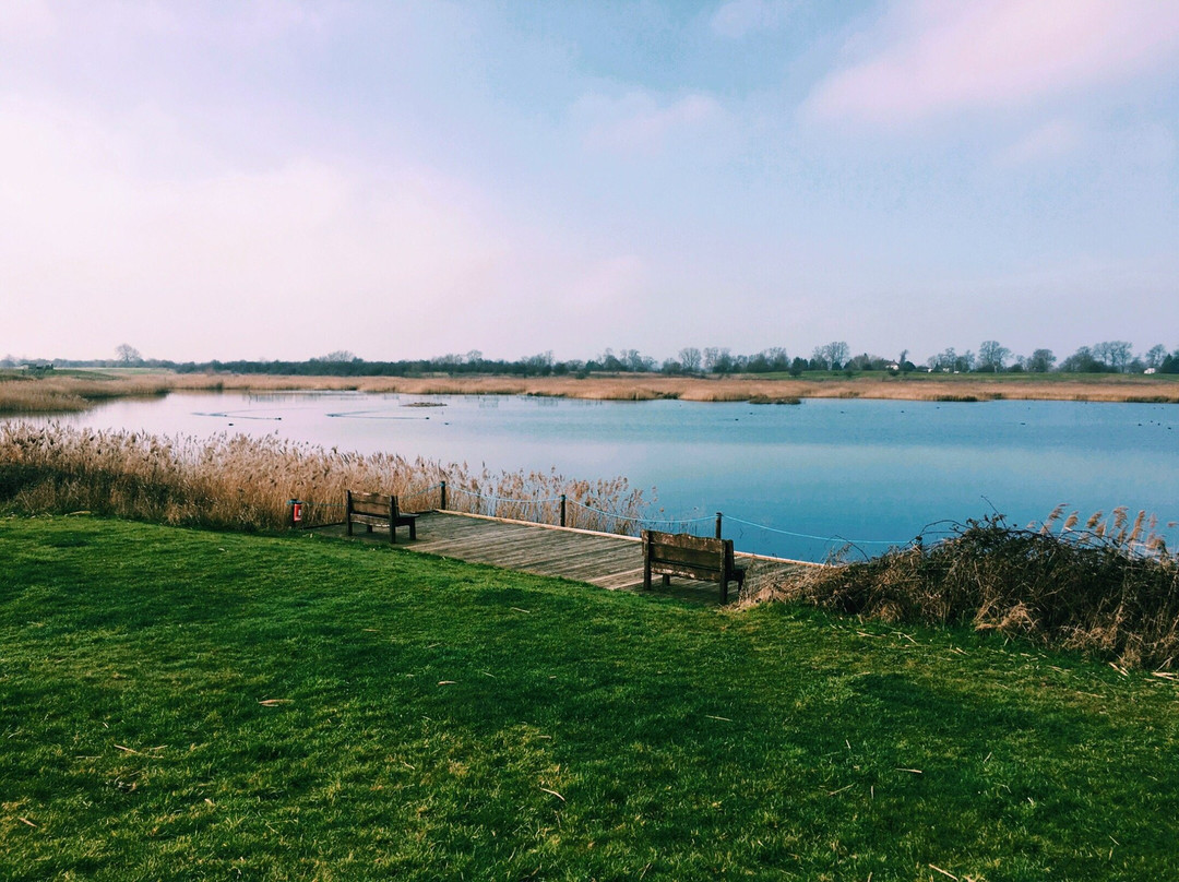 RSPB Langford Lowfields景点图片