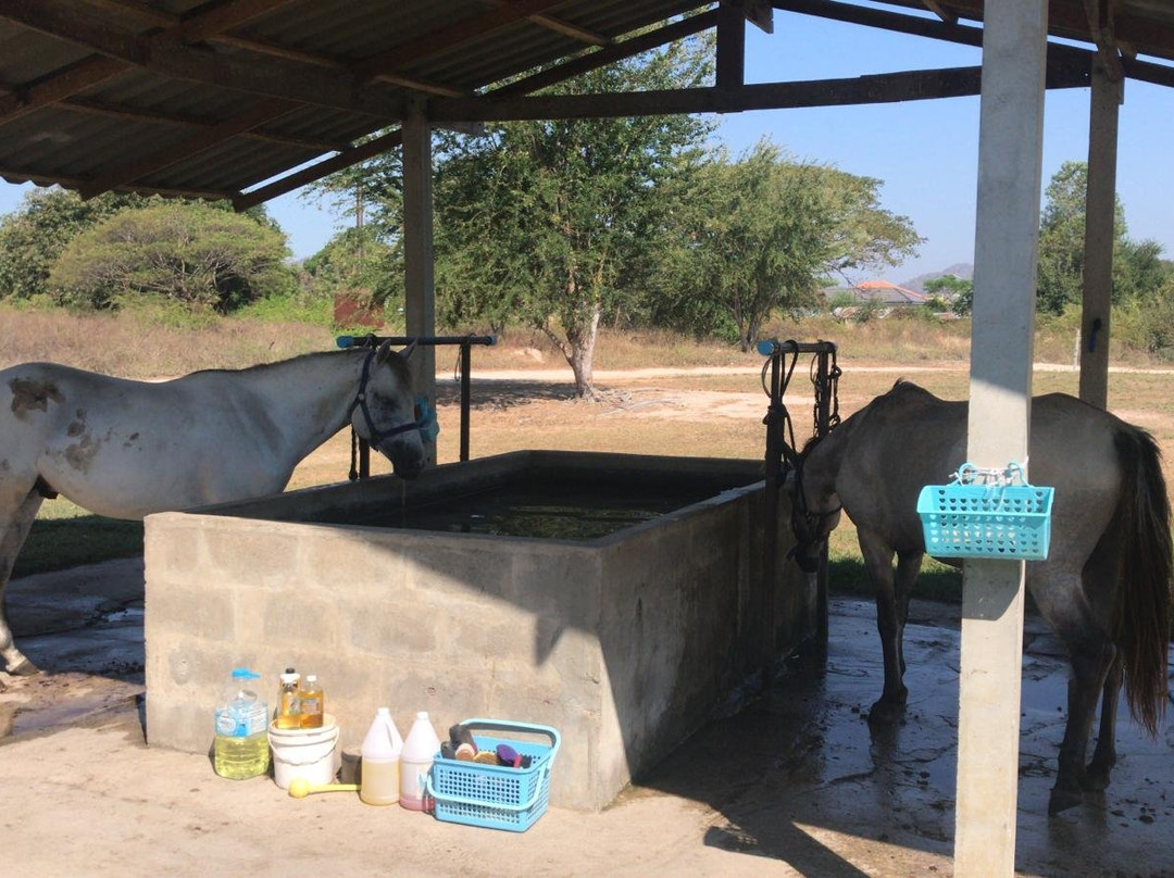 Hua Hin Horse Club-Nong Kae必去景点