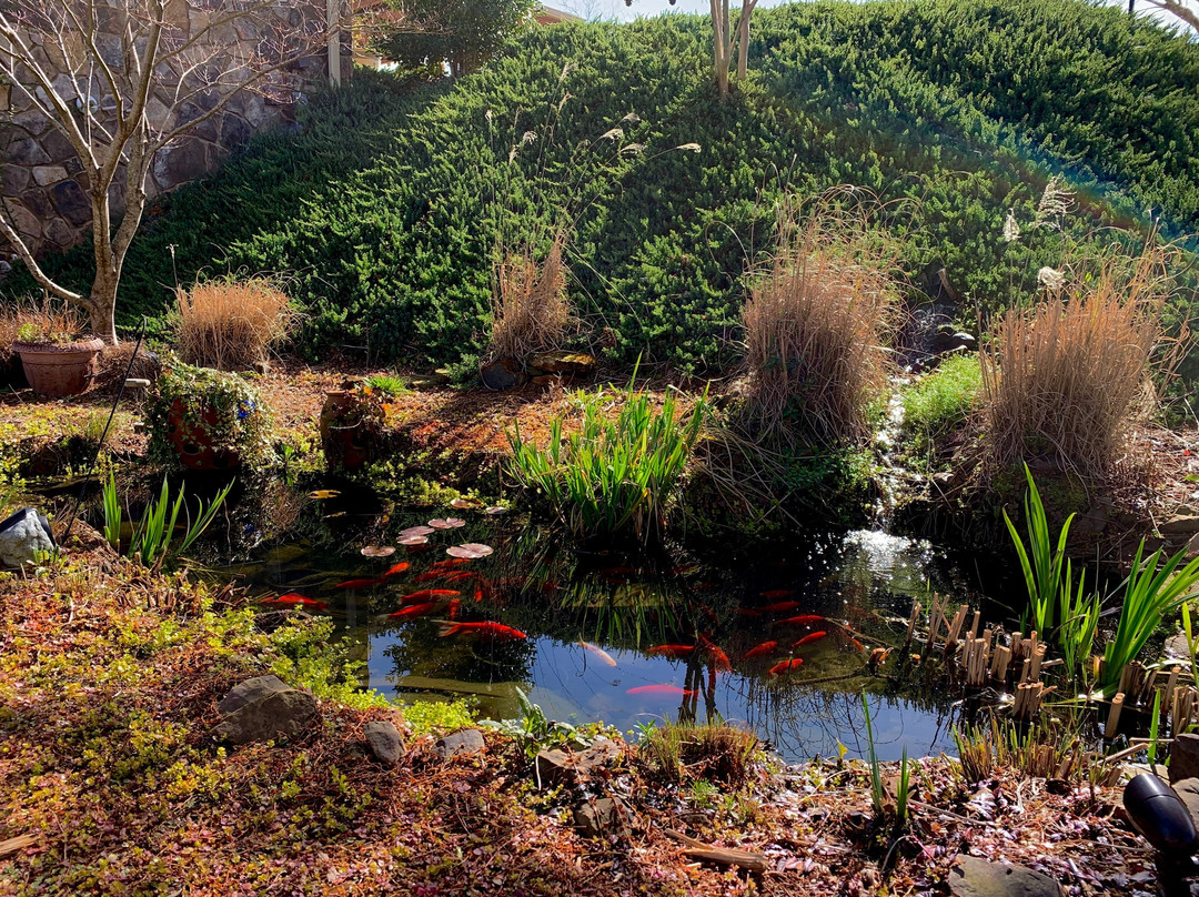 Lucille's Mountain Top Inn & Spa主图