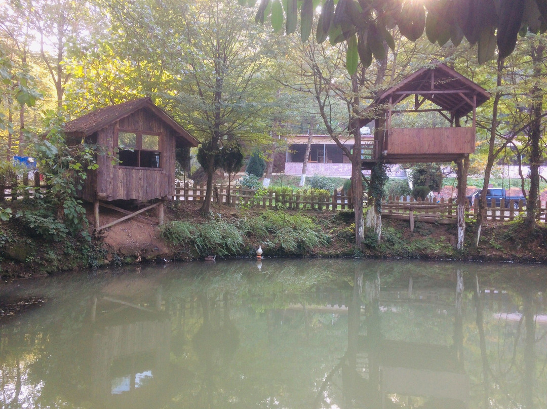 Altındere Karcı Alabalık