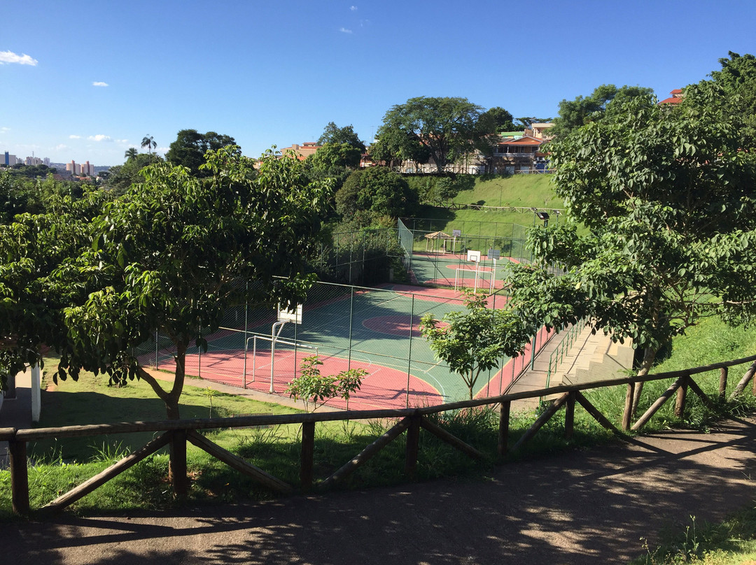 Parque Jardim do Lago - Antônio Garcia Machado景点图片