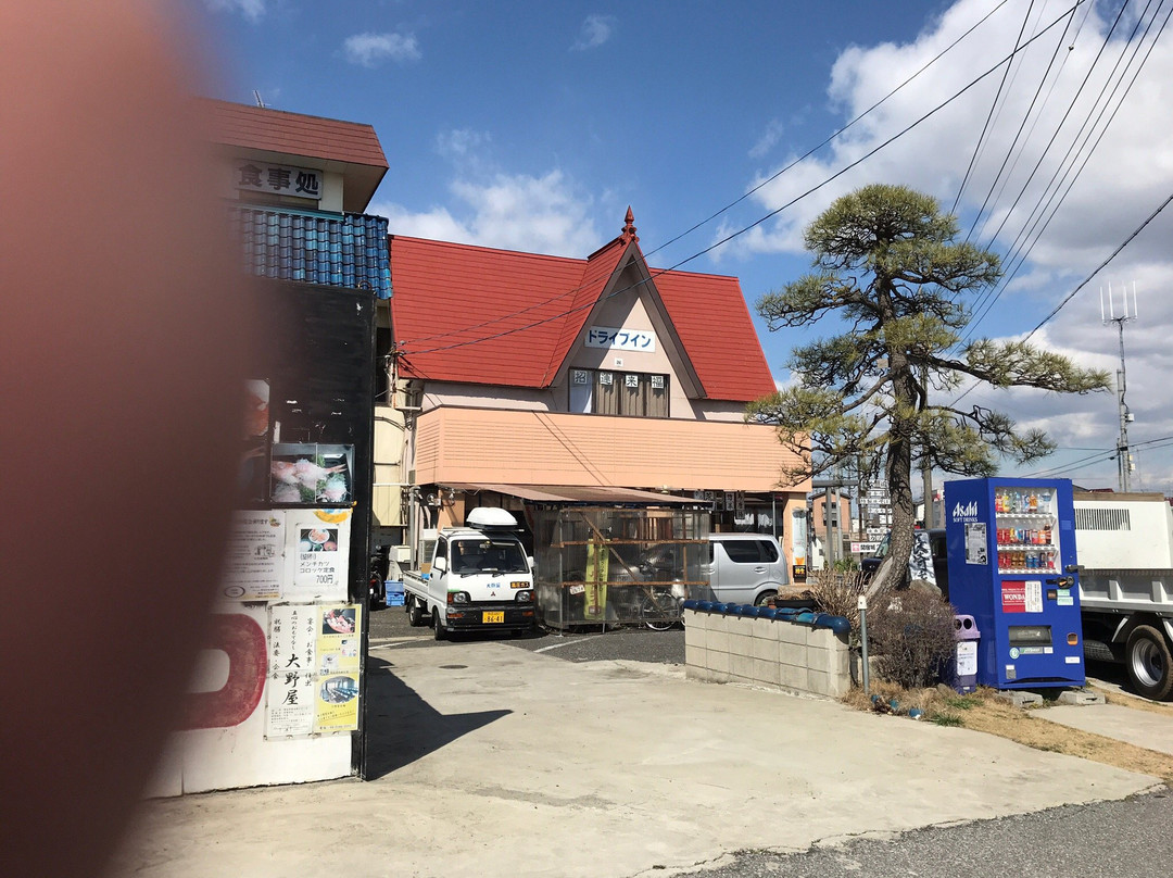 大野屋ドライブイン