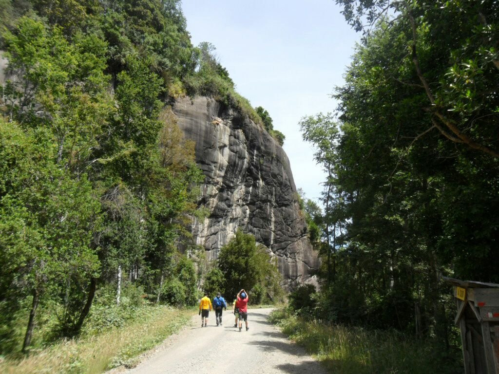 Futrono旅游景点-Rio Calcurrupe