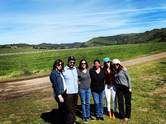 Wellington Coach Wine Tours and Transportation-索尔万必去景点