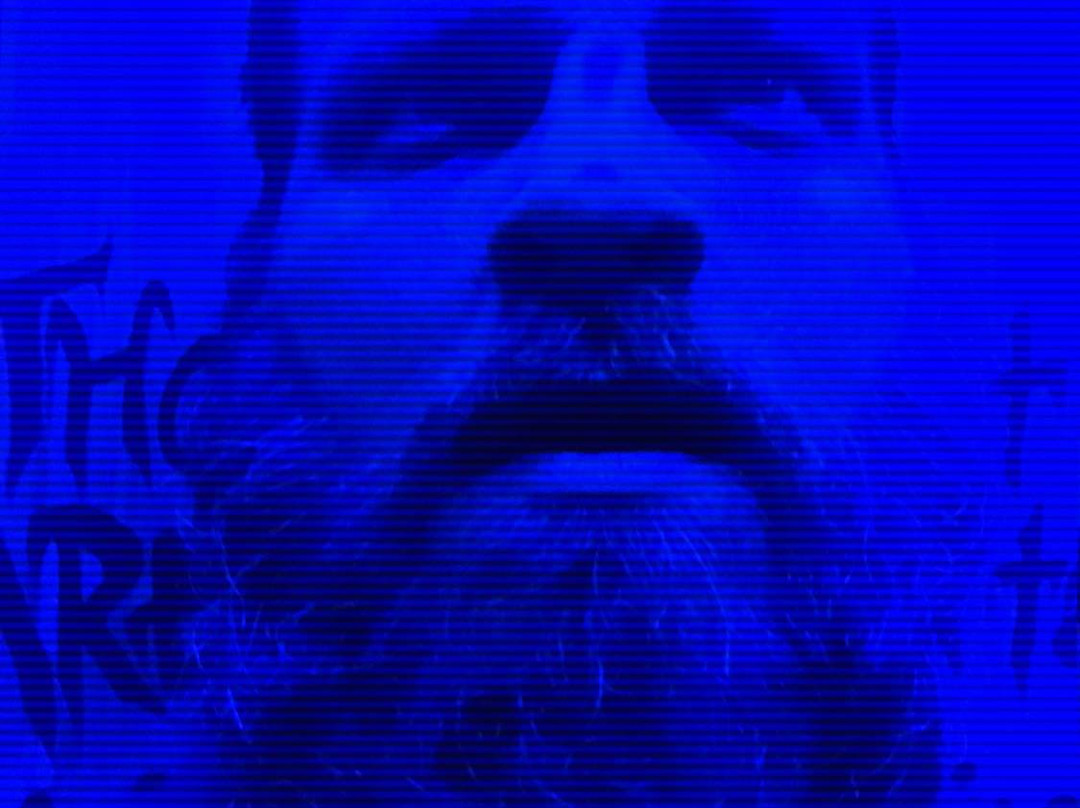 The Escape Room at the Silver Spur Resort-Canton必去景点