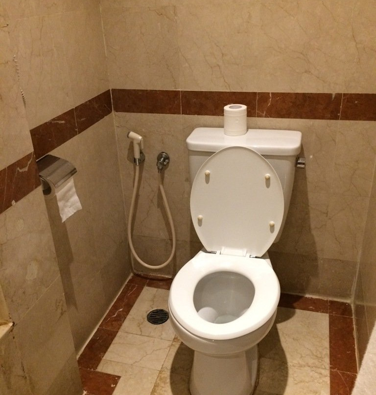 诺富特巴淡岛酒店主图