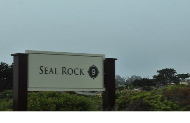 Seal Rock Creek beach景点图片