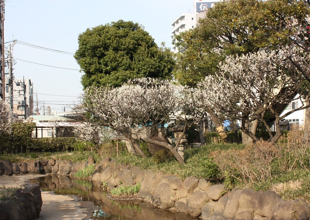 Seiseki Kamata Umeyashiki Park景点图片