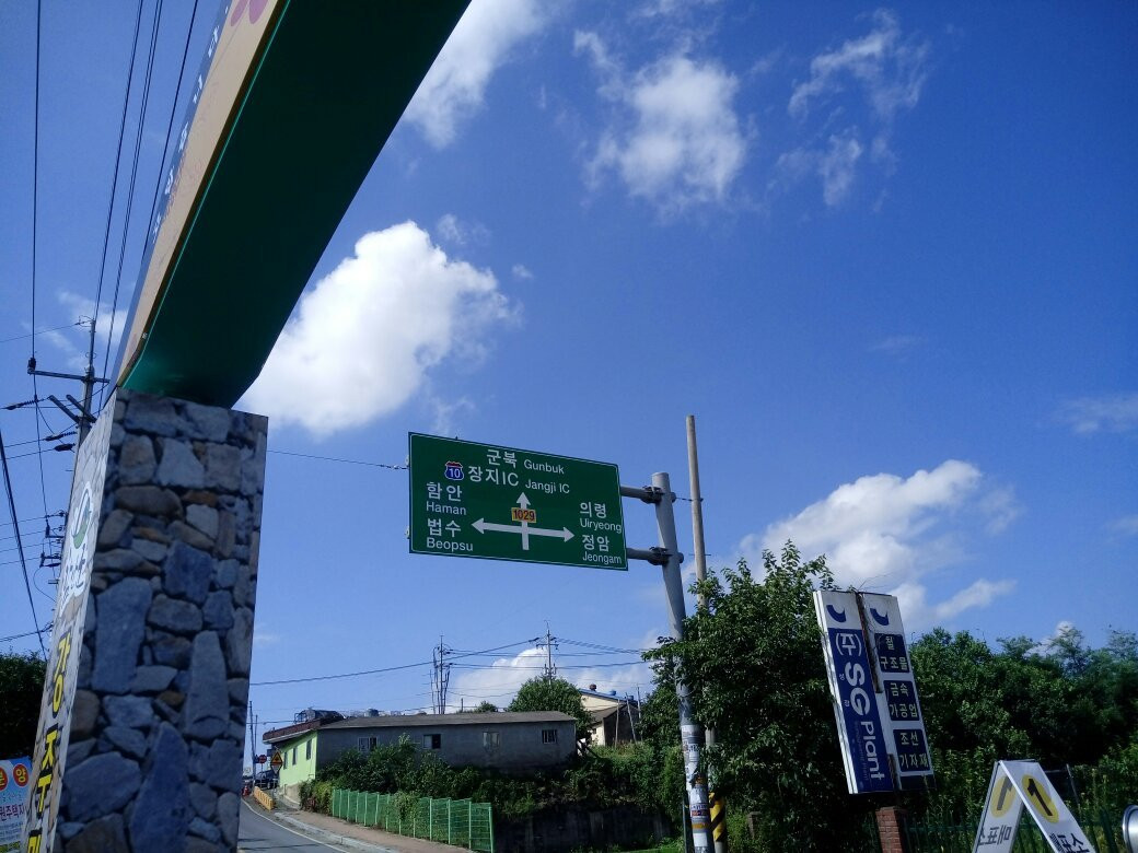 Gangju Sunflower Village-咸安郡必去景点