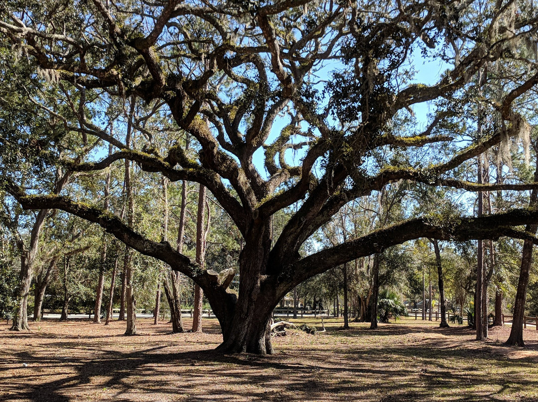 Moody Homestead Park-Bunnell必去景点