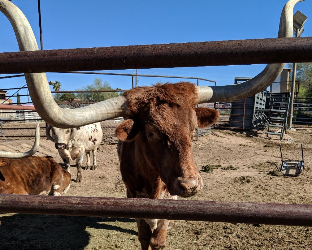 Frontier Town-洞溪必去景点