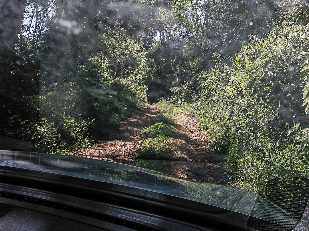Cascata Wasserfall III-Boa Vista do Sul必去景点