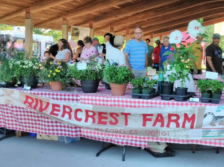 Walnut Beach Farmers' Market-米尔福德必去景点