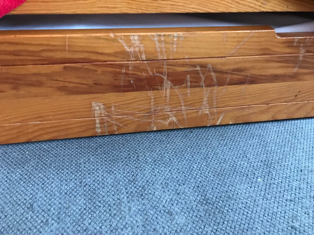 Odalys Essential Residence Résidence du Port主图