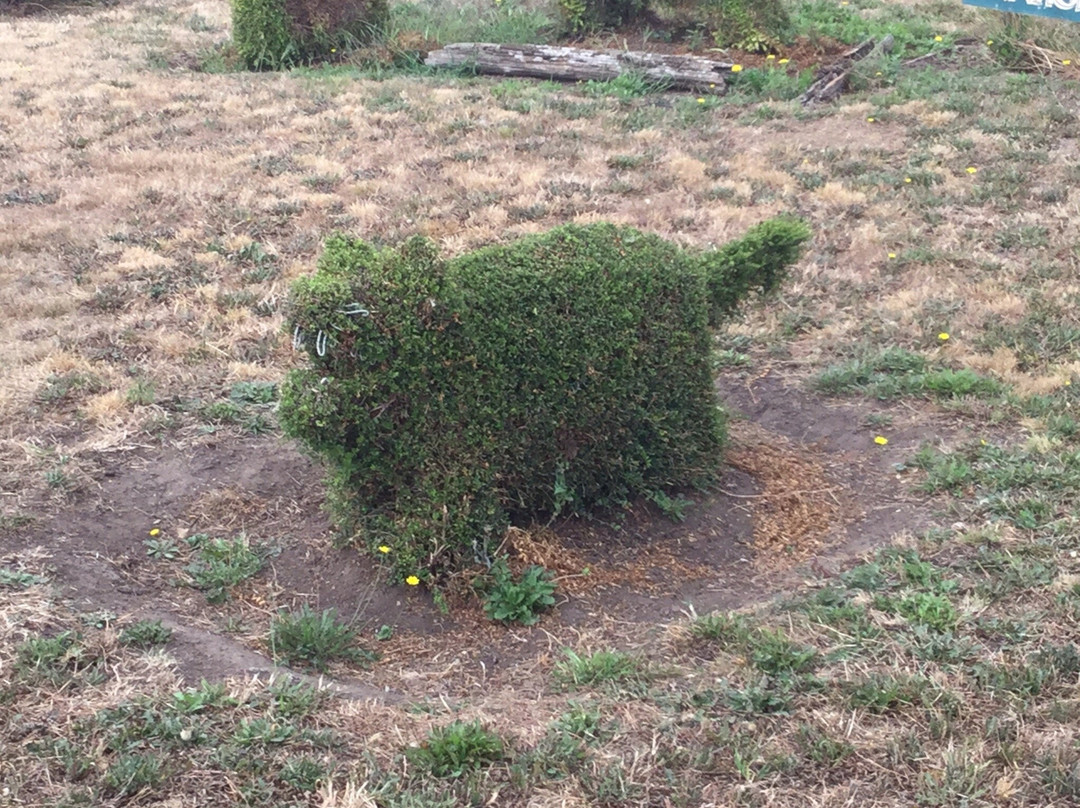 Topiary Trail景点图片
