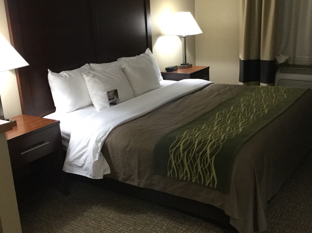 Comfort Inn Morris I-80主图