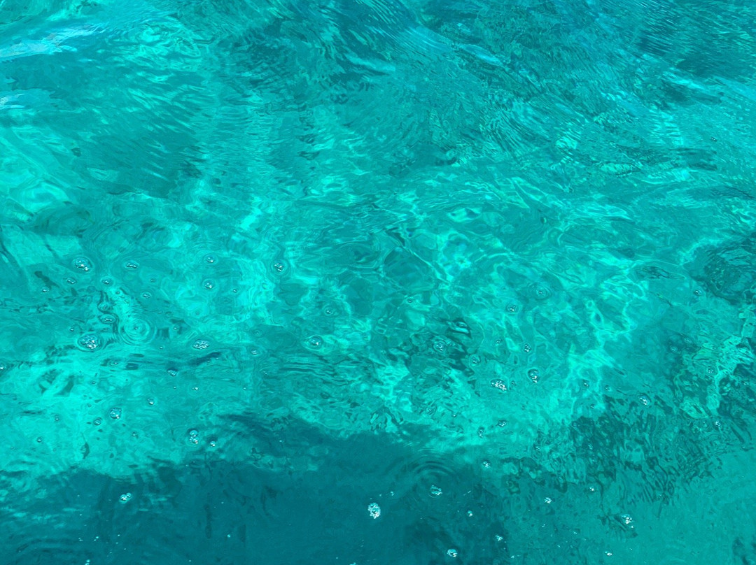 Manati Divers-图伦必去景点