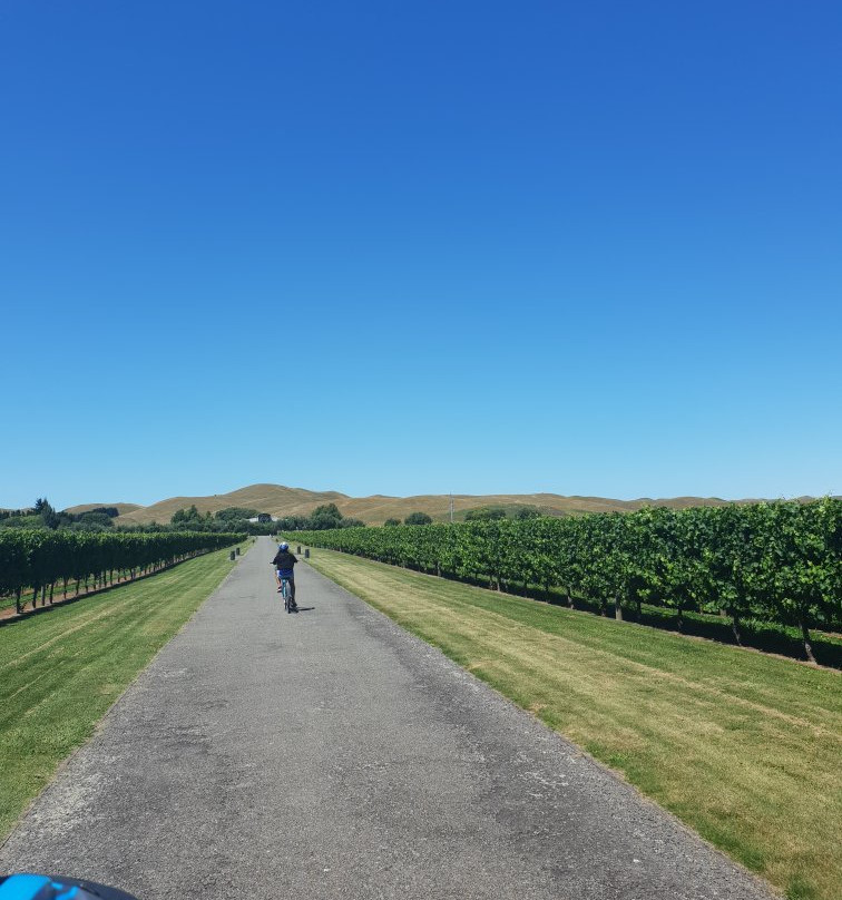 On Yer Bike Winery Tours-黑斯廷斯必去景点